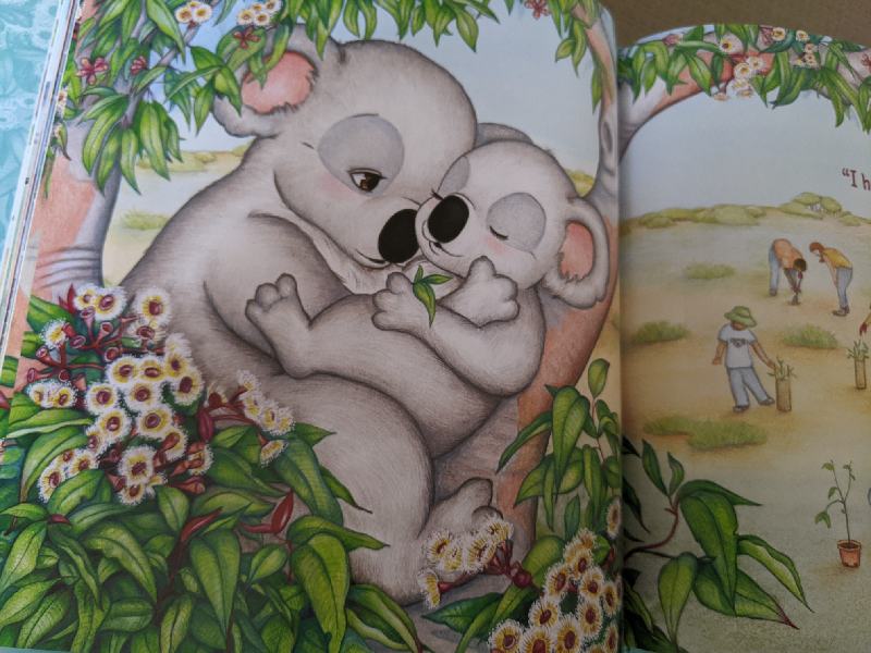 Have You Seen A Tree For Me - Enzo and mummy koala cuddling with the hope that there will be lovely tree home for him.