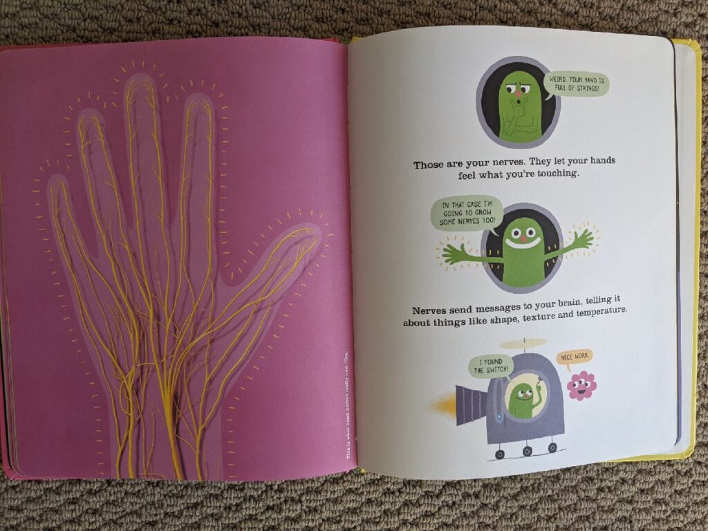 Argh! There's a skeleton inside you - kids book. Nerves page