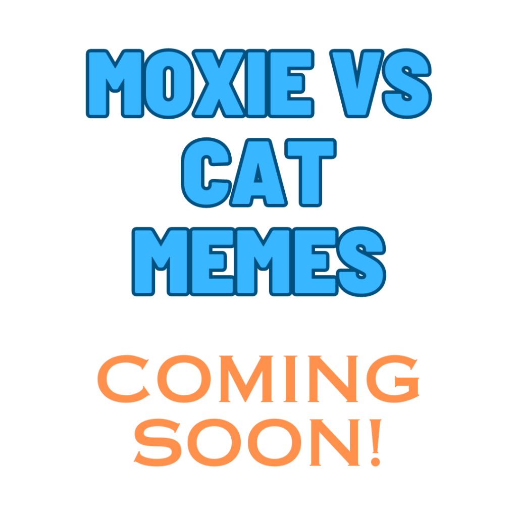 Moxie vs Cat Memes